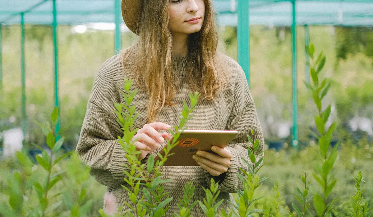 Técnica agronómica utilizando una tableta entre plantas