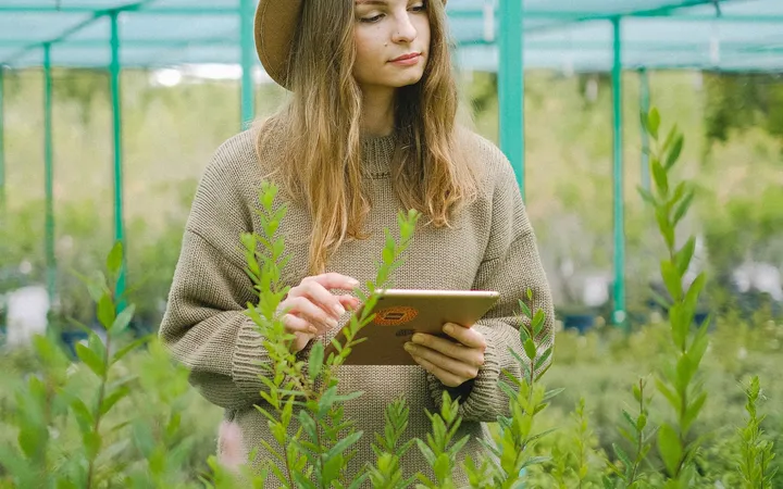 Técnica agronómica utilizando una tableta entre plantas