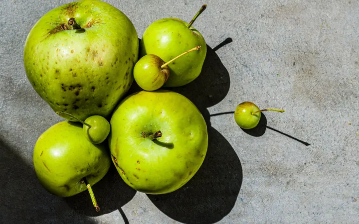 Manzanas con pequeñas imperfecciones naturales