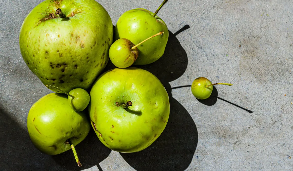Manzanas con pequeñas imperfecciones naturales