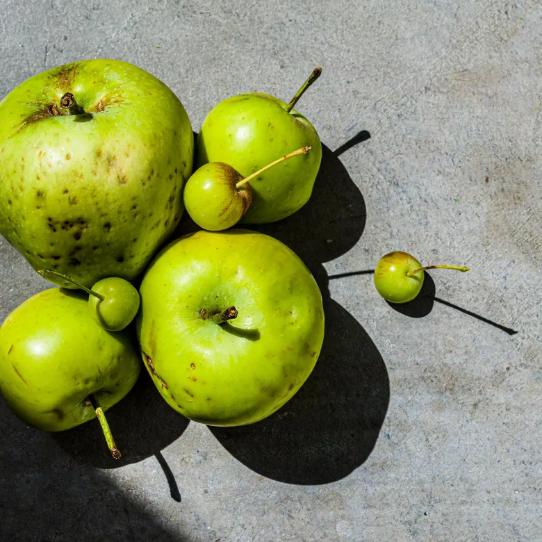 Primer plano de manzanas con imperfecciones y pequeñas marcas